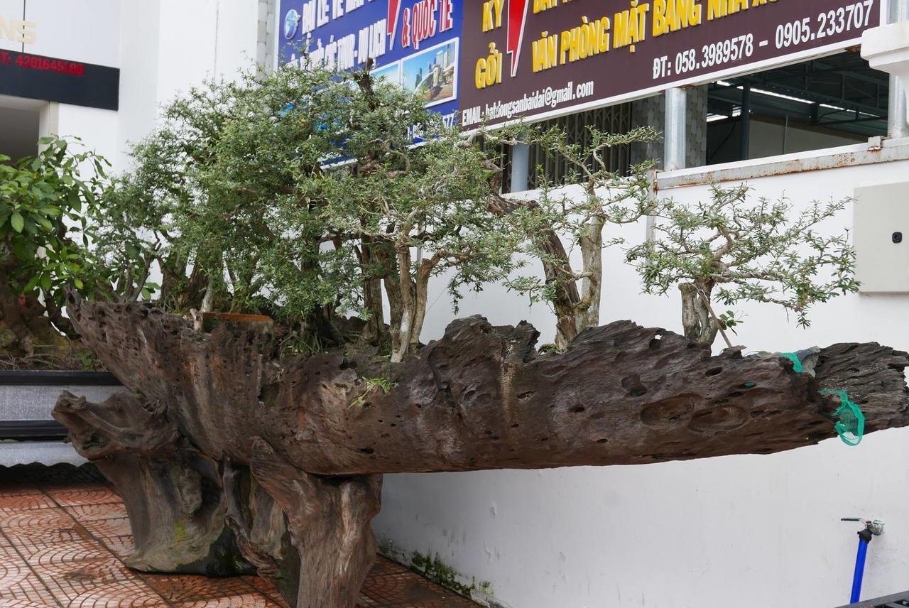 Allure Hotel Thuy Trieu Ngoại thất bức ảnh
